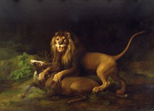 Un leone che attacca un cervo, c.1765